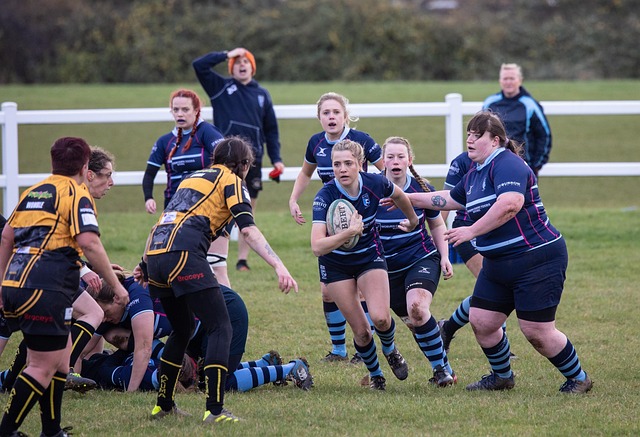 仅仅是得分 仅仅是得分